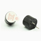 //ikrorwxhjiilll5q.ldycdn.com/cloud/lmBqoKliRloSqqlplrnq/3V-5V-2-3khz-85dB-Magnetic-Buzzer-Used-For-Door-Bell-Security-60-60.jpg