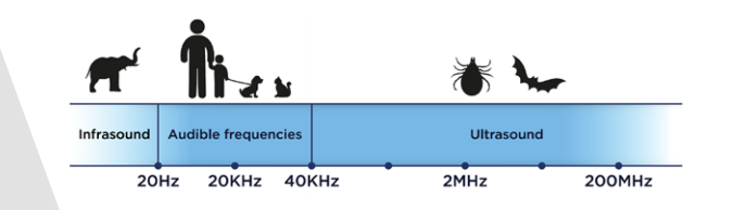 The frequency of sound wave